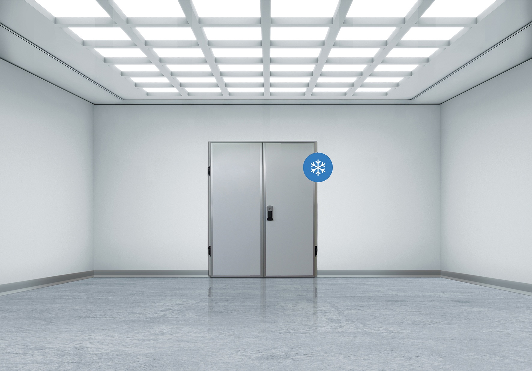 Bright sterile room with a central double metal door and snowflake icon
